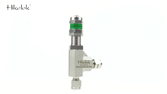 Hikelok Válvula de seguridad de presión ajustable con resorte proporcional de acero inoxidable 316